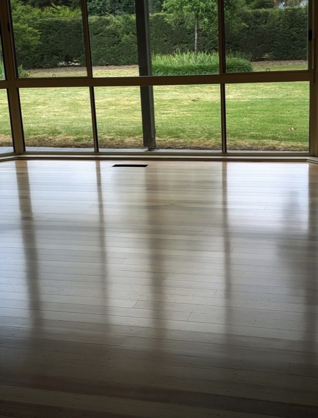 Finished hardwood floor catching daylight